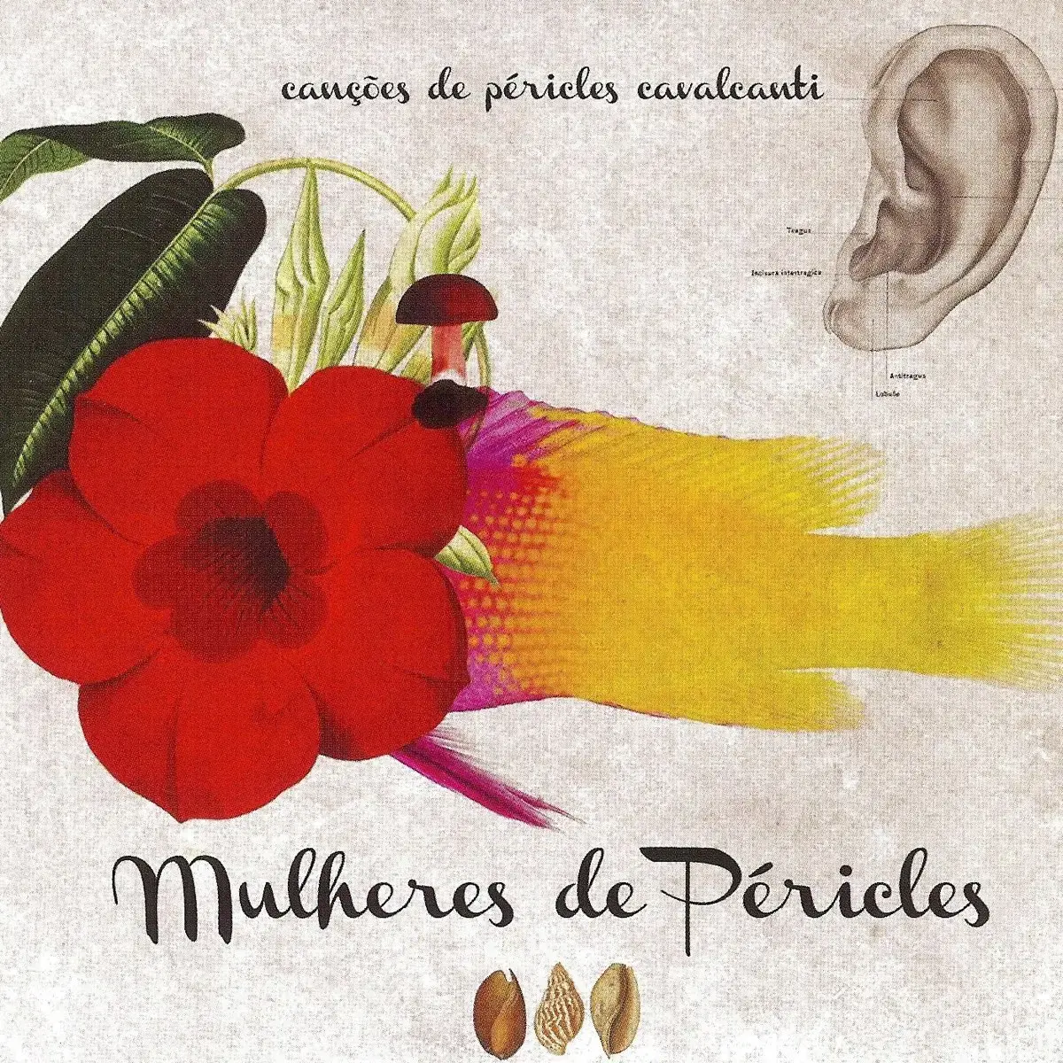 Laura Lavieri Mulheres de Péricles Album Cover