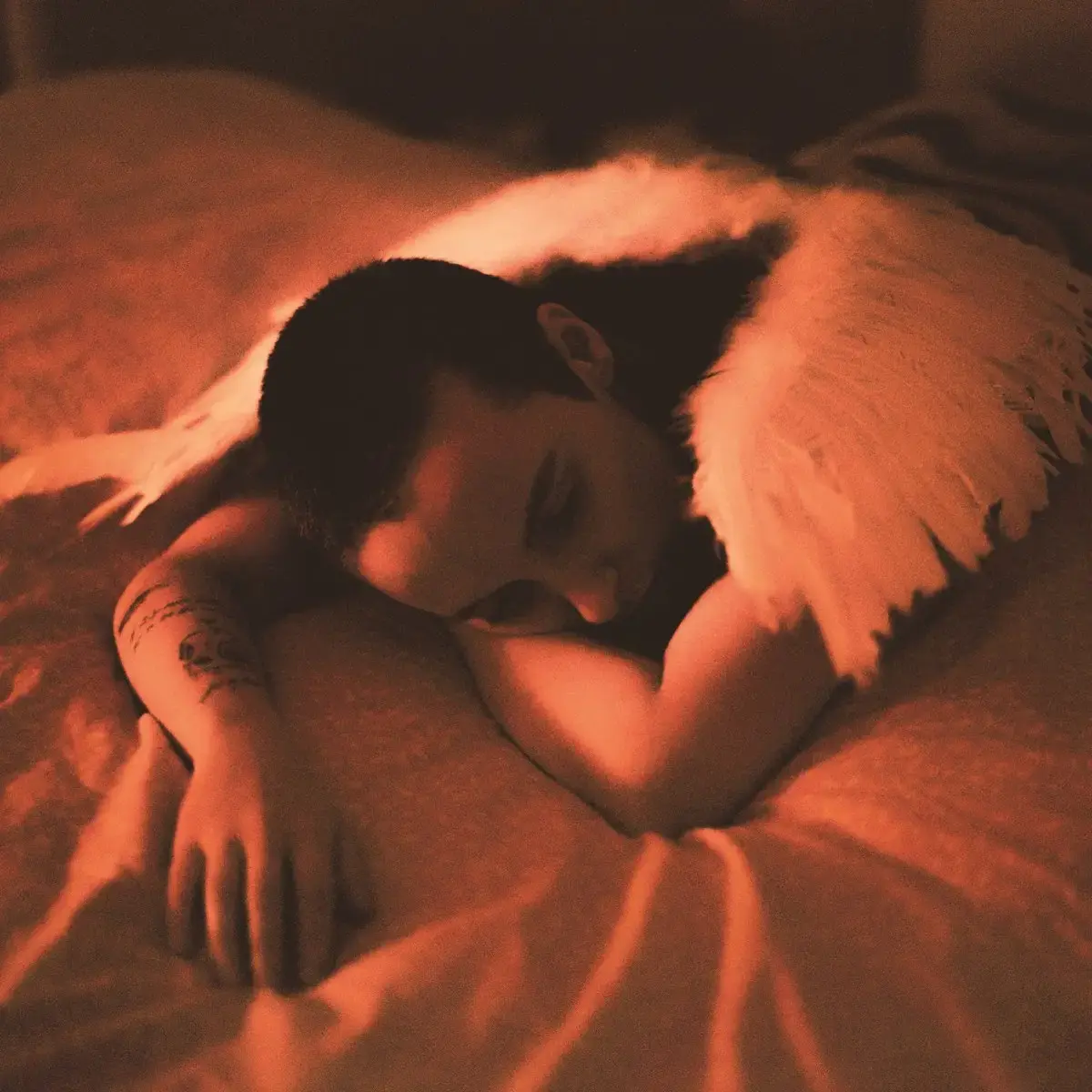 Sea Girls Midnight Butterflies Album Cover