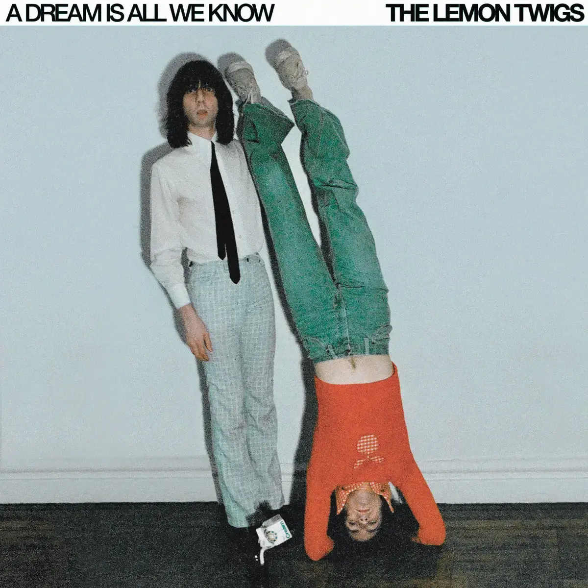 The Lemon Twigs A Dream Is All We Know Album Cover