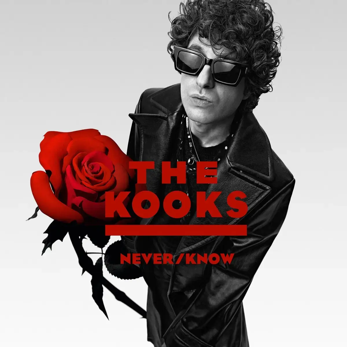 The Kooks Never/Know Album Cover