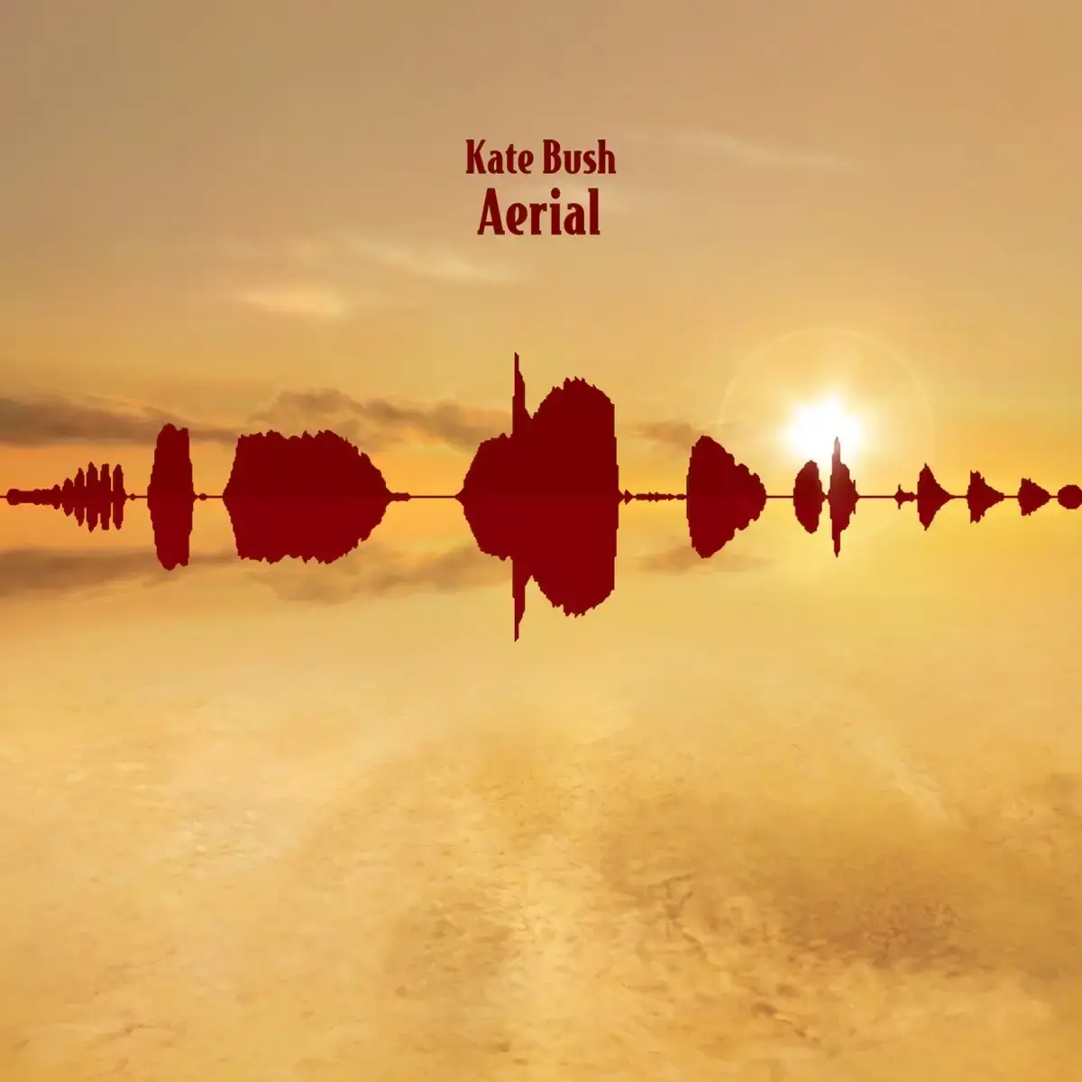 Kate Bush Aerial Album Cover