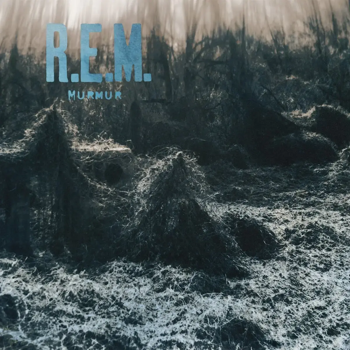 R.E.M Murmur Album Cover