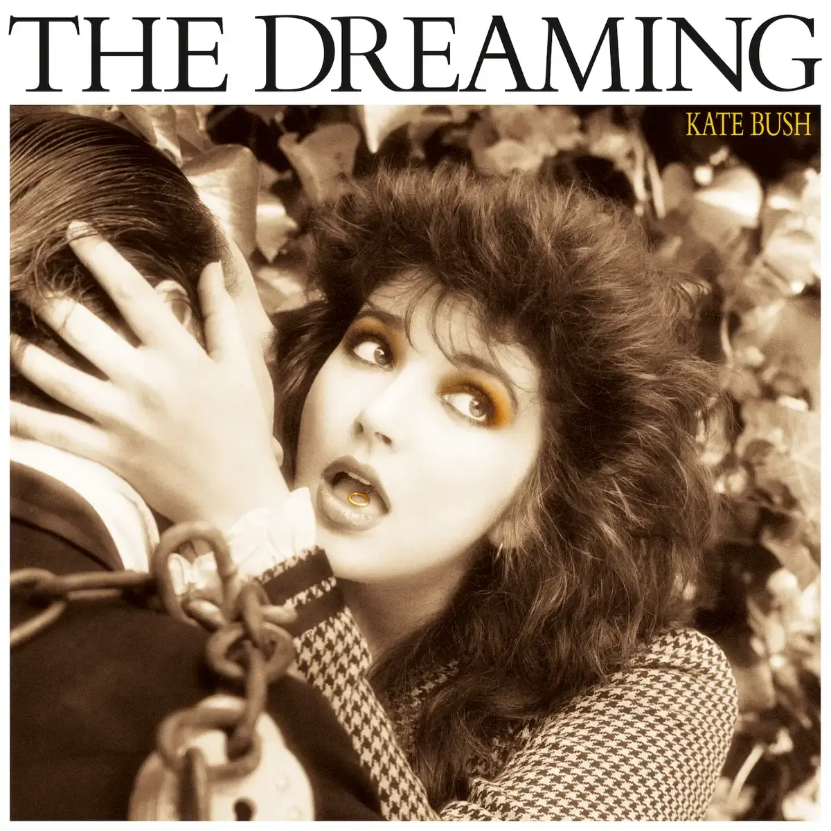 Kate Bush The Dreaming Album Cover