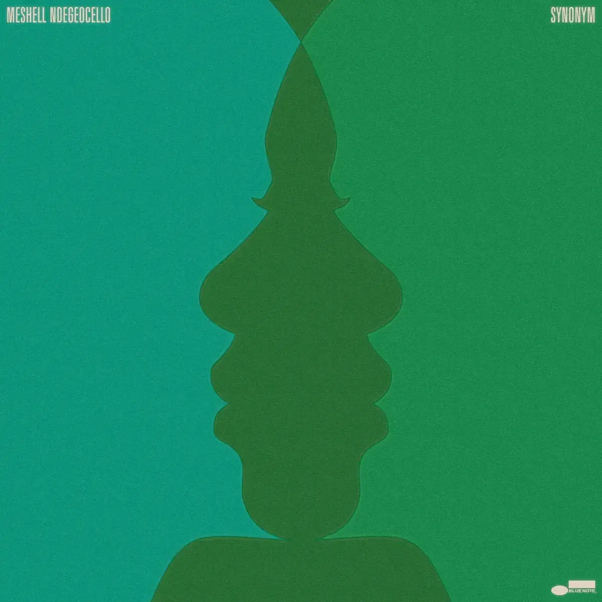Meshell Ndegeocello Synonym Album Cover